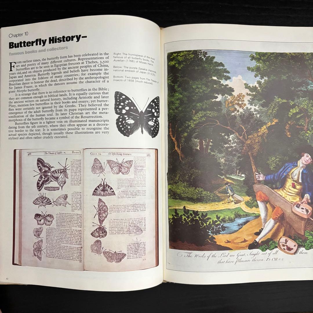 The International Butterfly Book 英語版 初版本