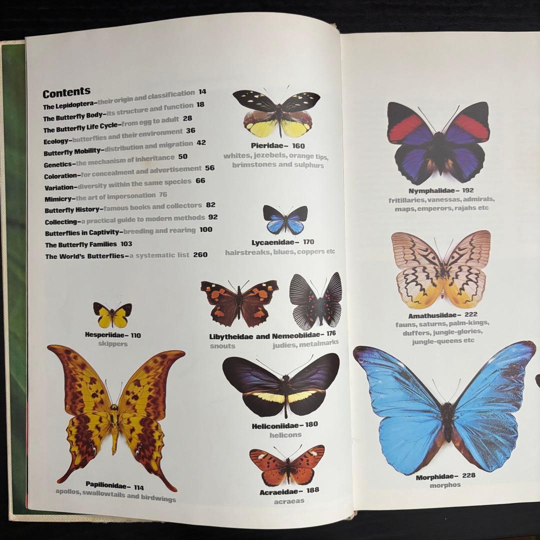 The International Butterfly Book 英語版 初版本
