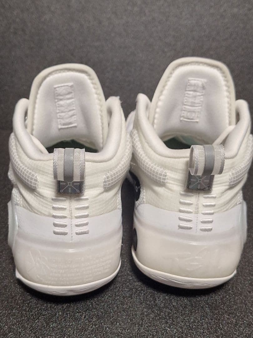 Li-Ning Way Of Wade10　26.5 箱あり