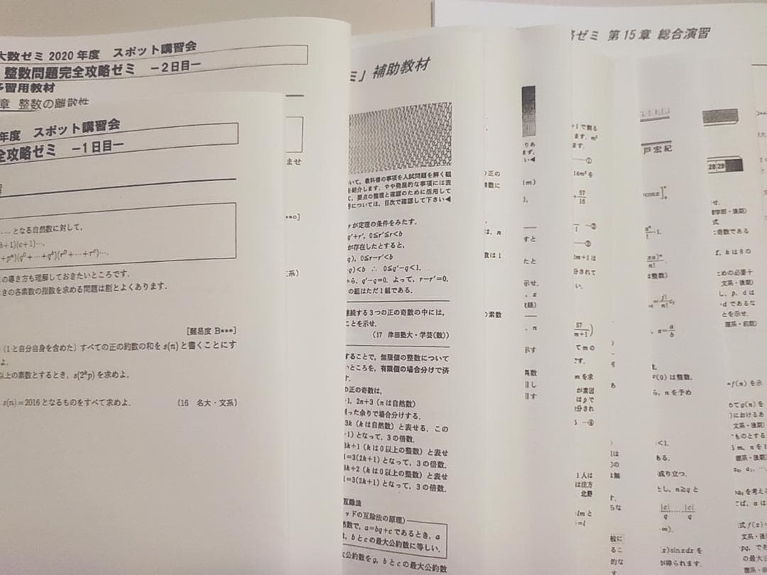 大数ゼミによる整数問題完全攻略ゼミプリントフルセット　数学　駿台　河合塾