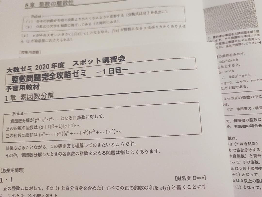大数ゼミによる整数問題完全攻略ゼミプリントフルセット　数学　駿台　河合塾