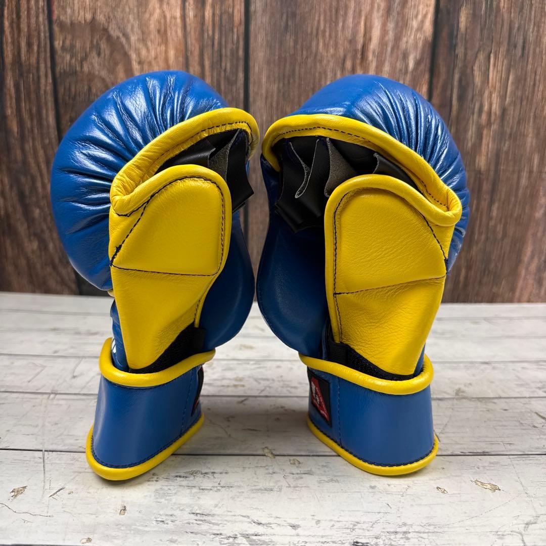 ISAMI パウンドグローブ グローブ フリーサイズ ボクシング 格闘技