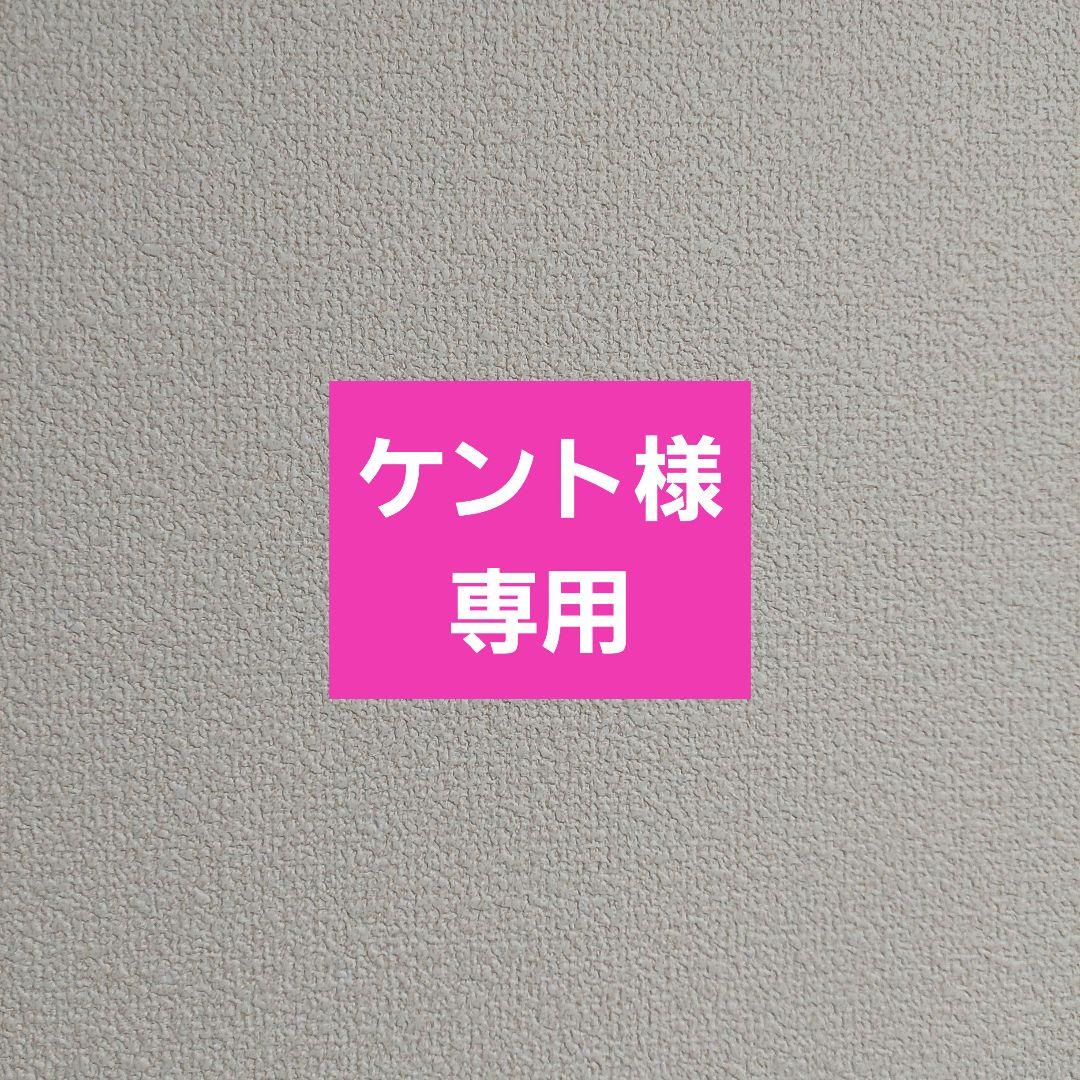 SWANY スワニー キャリーバッグ 機内持ち込み可能 エナメル ブラック