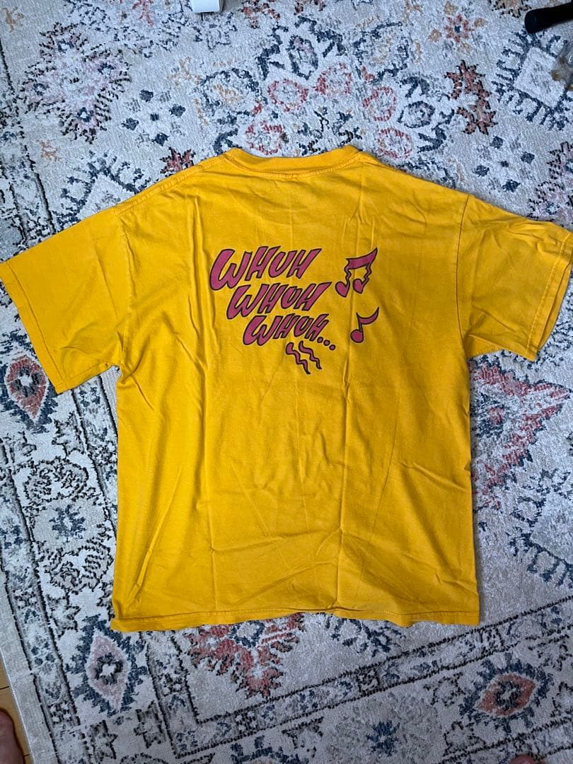 Flaming lips フレーミングリップス　vintage Tシャツ