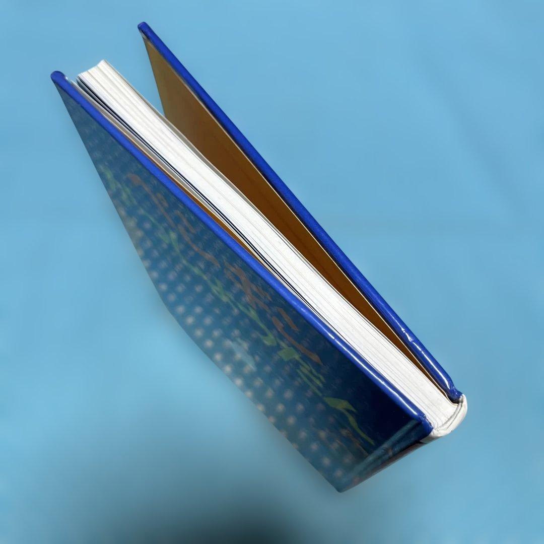 ペンギンがっしょうだん【匿名配送】