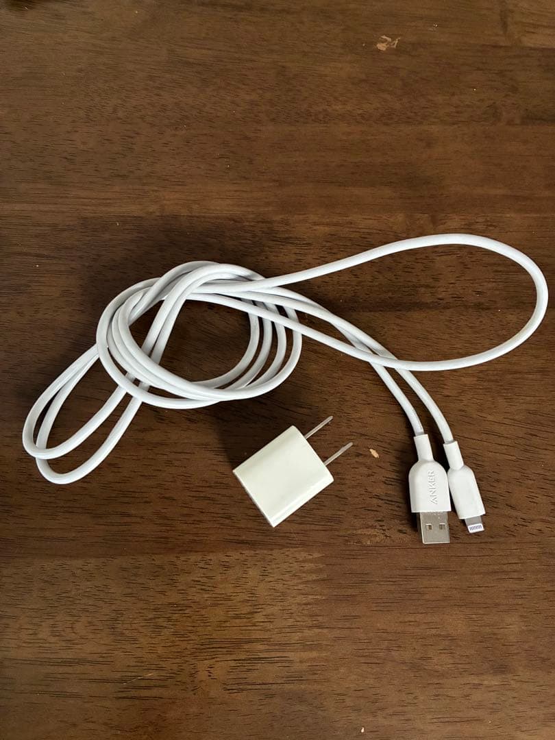 iPad 第7世代本体 カバー　充電器　イヤホン　アップルペンシル付き