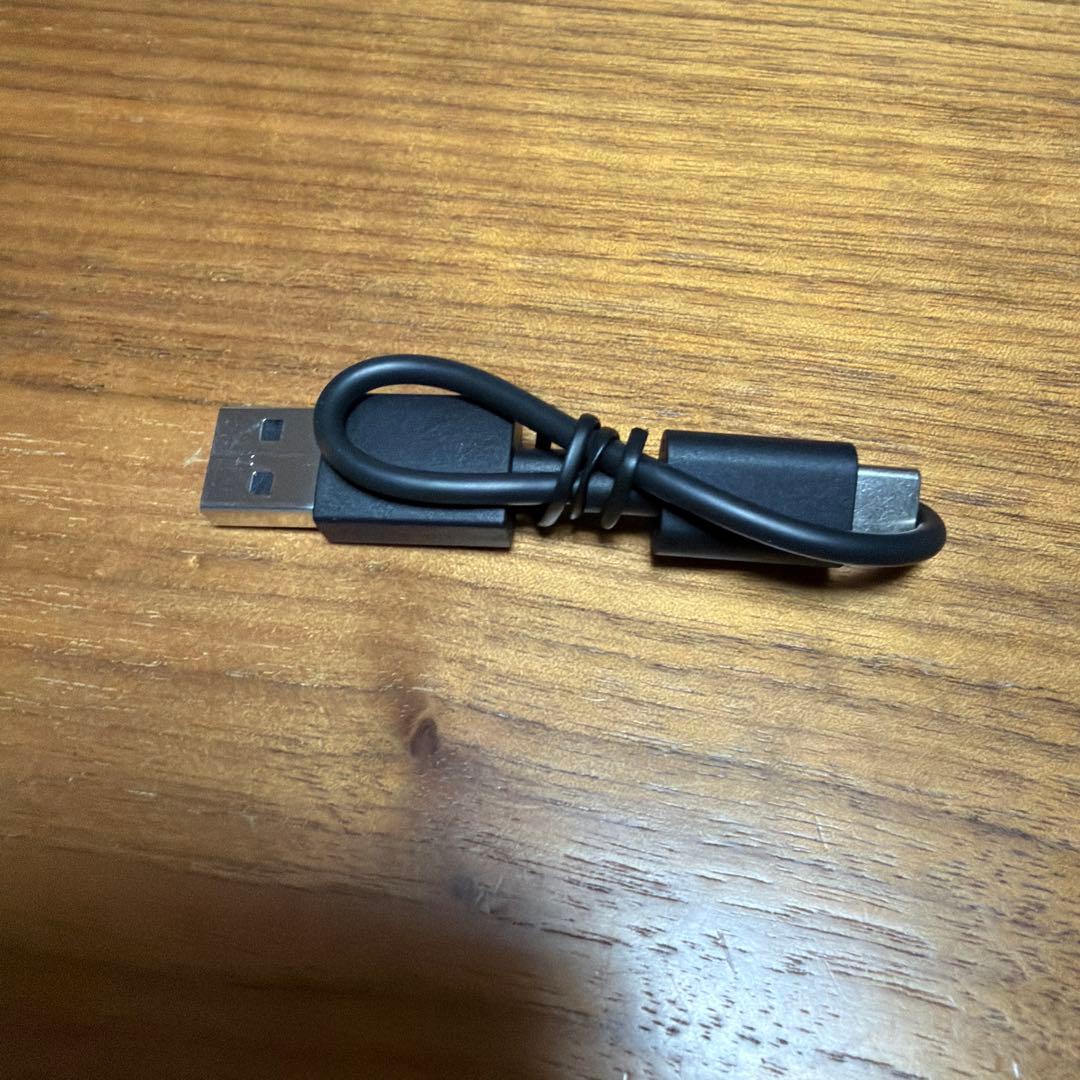 イヤホン DENON PerL Pro