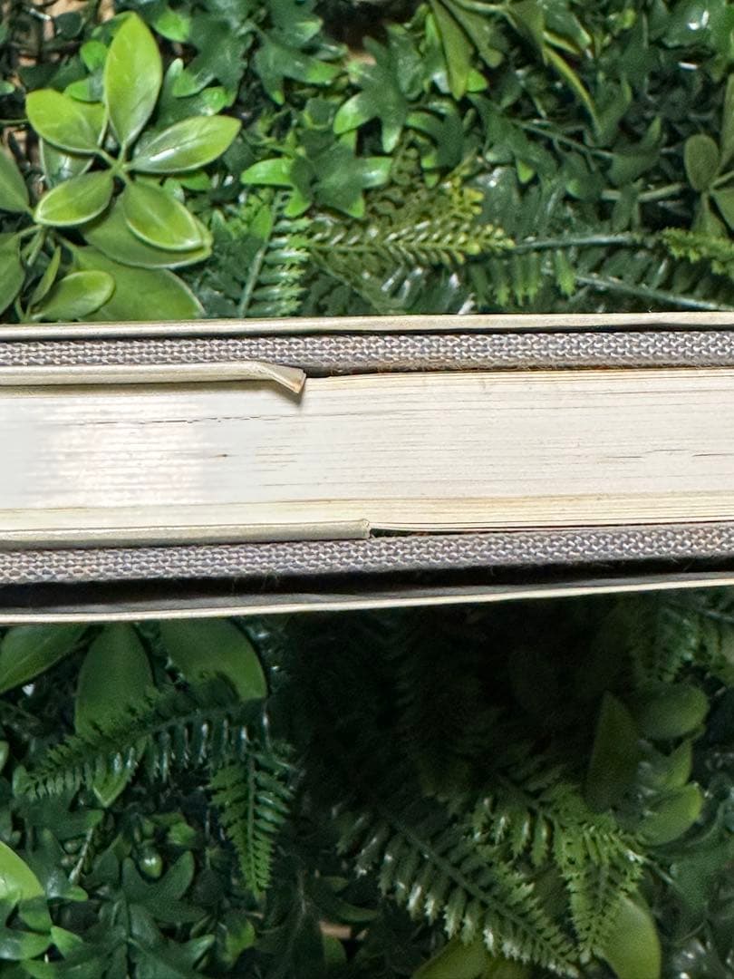 直筆サイン入 限定800部510番 大内田茂士画集 1933-1989 油紙付