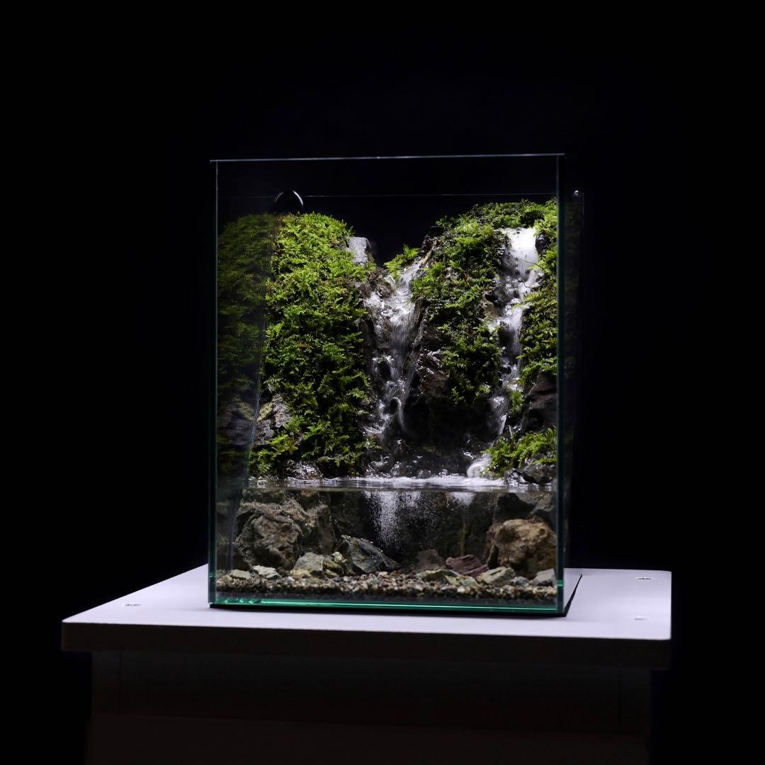 アクアテラリウム　レイアウト作品　228