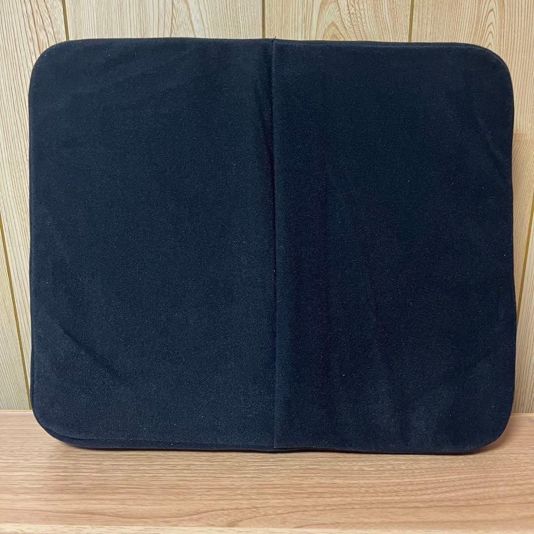 サテライト BODYLINE クッション バックハガー セット