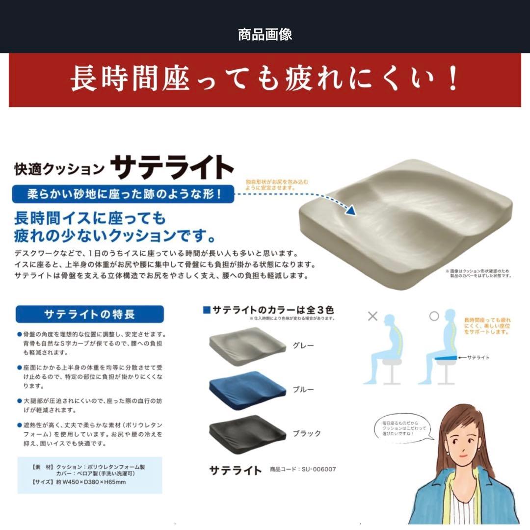 サテライト BODYLINE クッション バックハガー セット