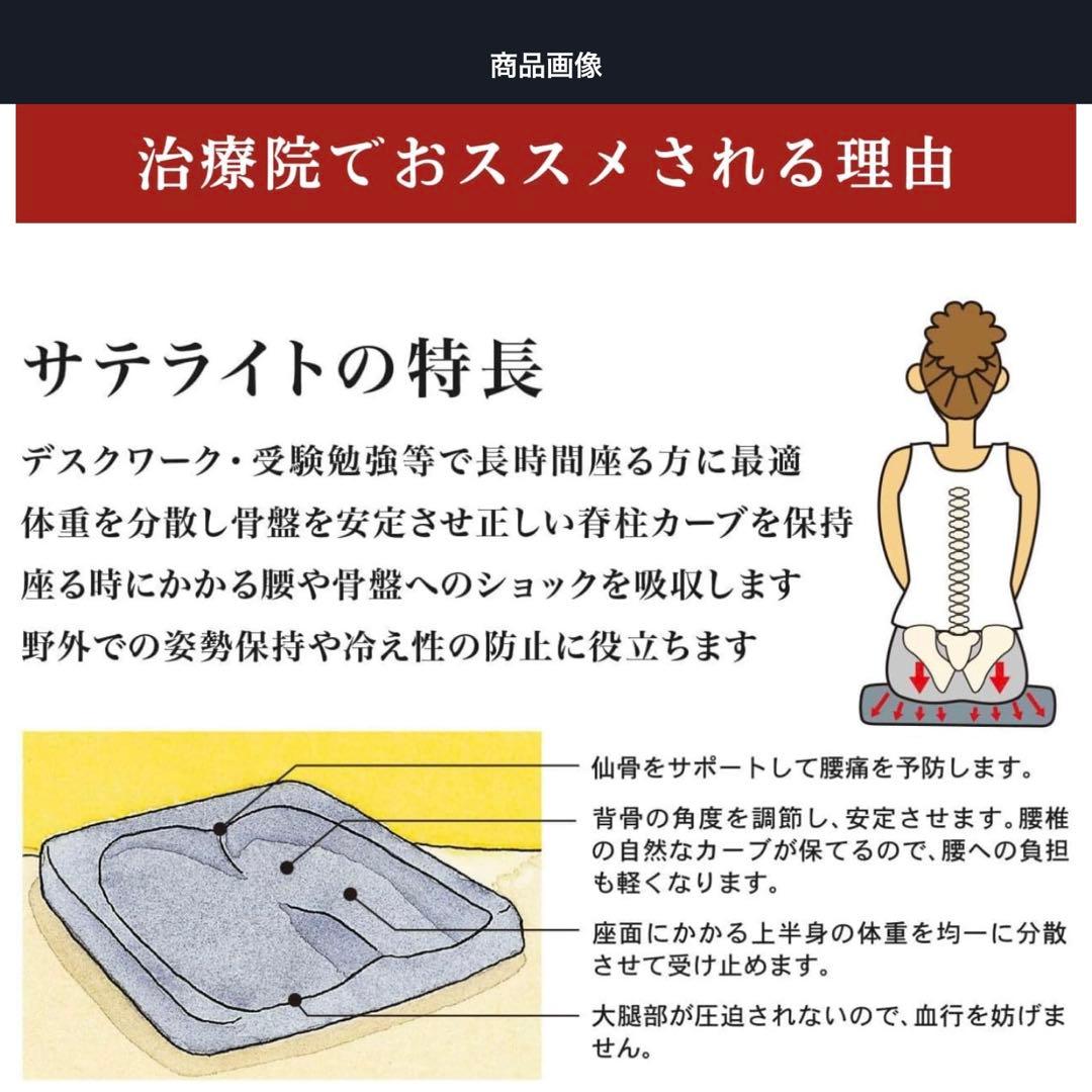 サテライト BODYLINE クッション バックハガー セット