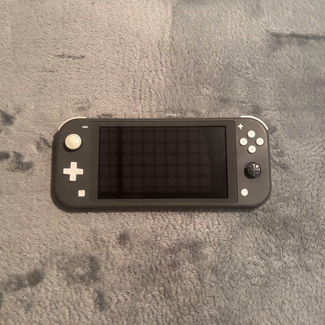 美品 Switch LITE カバー付き 本体 動作確認済み