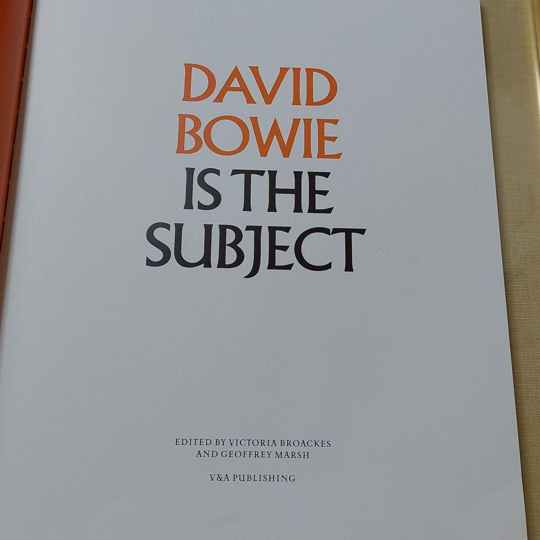 DAVID BOWIE IS INSIDE 　V&A