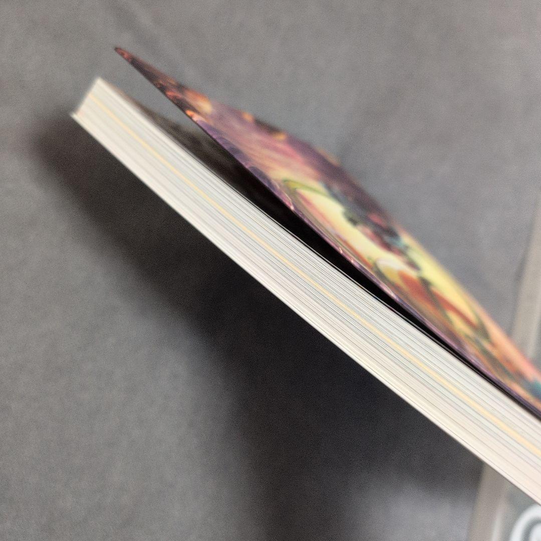 ポケモンカードゲーム アートコレクション(付録なし❌ 本のみです。)