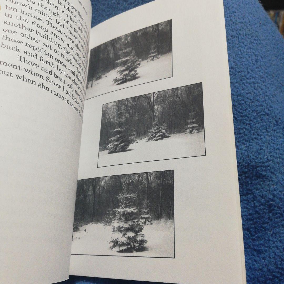 洋書 Story in the  by Woods (Bigfoot)