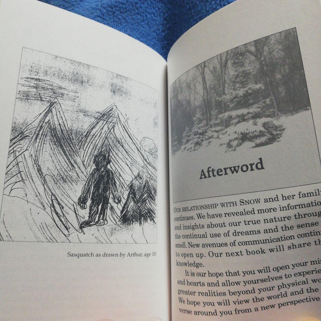 洋書 Story in the  by Woods (Bigfoot)