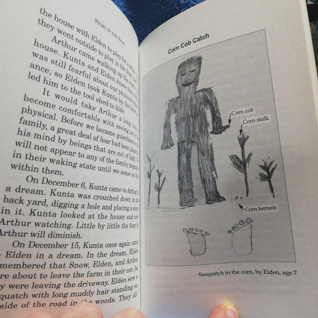 洋書 Story in the  by Woods (Bigfoot)