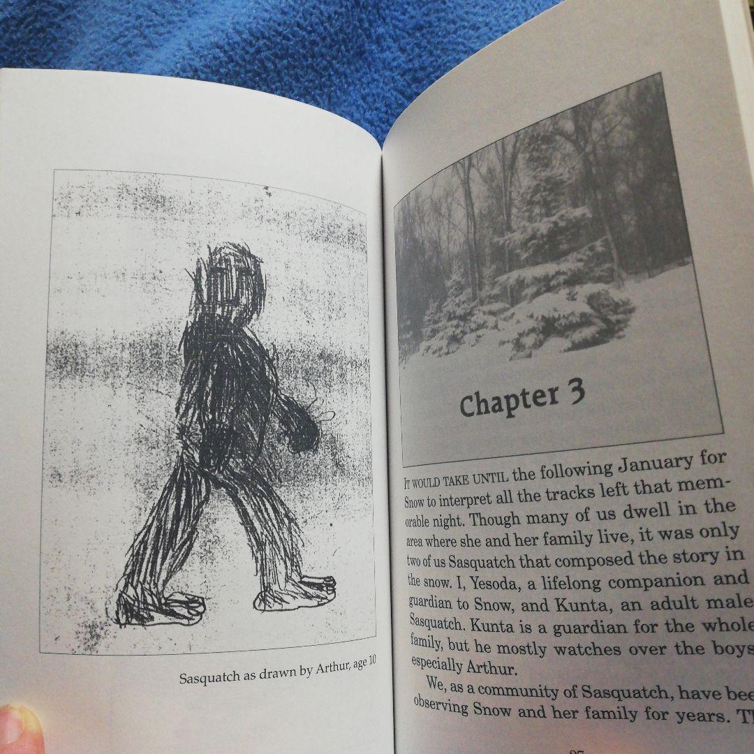 洋書 Story in the  by Woods (Bigfoot)