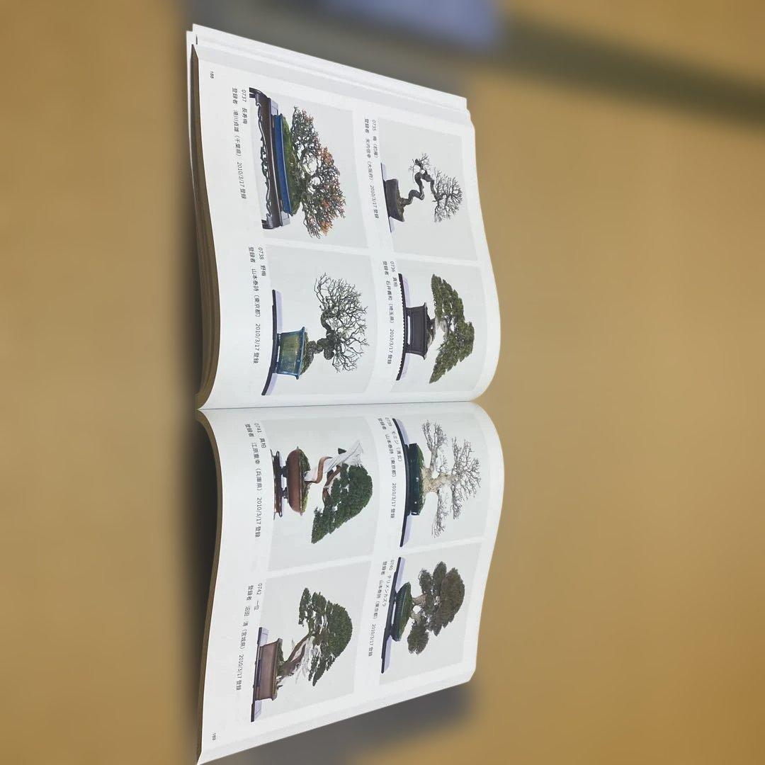 貴重盆栽登録樹集