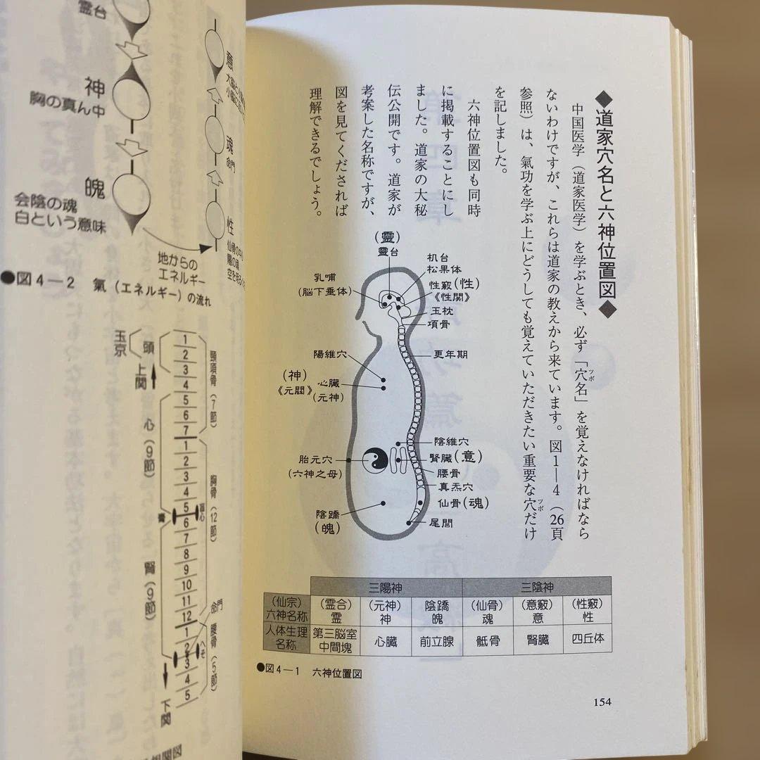 秘伝 道家気功 気功法 劉百齢 林義貢 塩田恵一 気功 医療 東洋思想 本