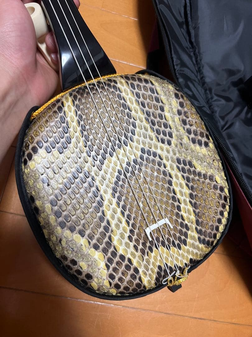 三線本体 蛇皮 金糸刺繍