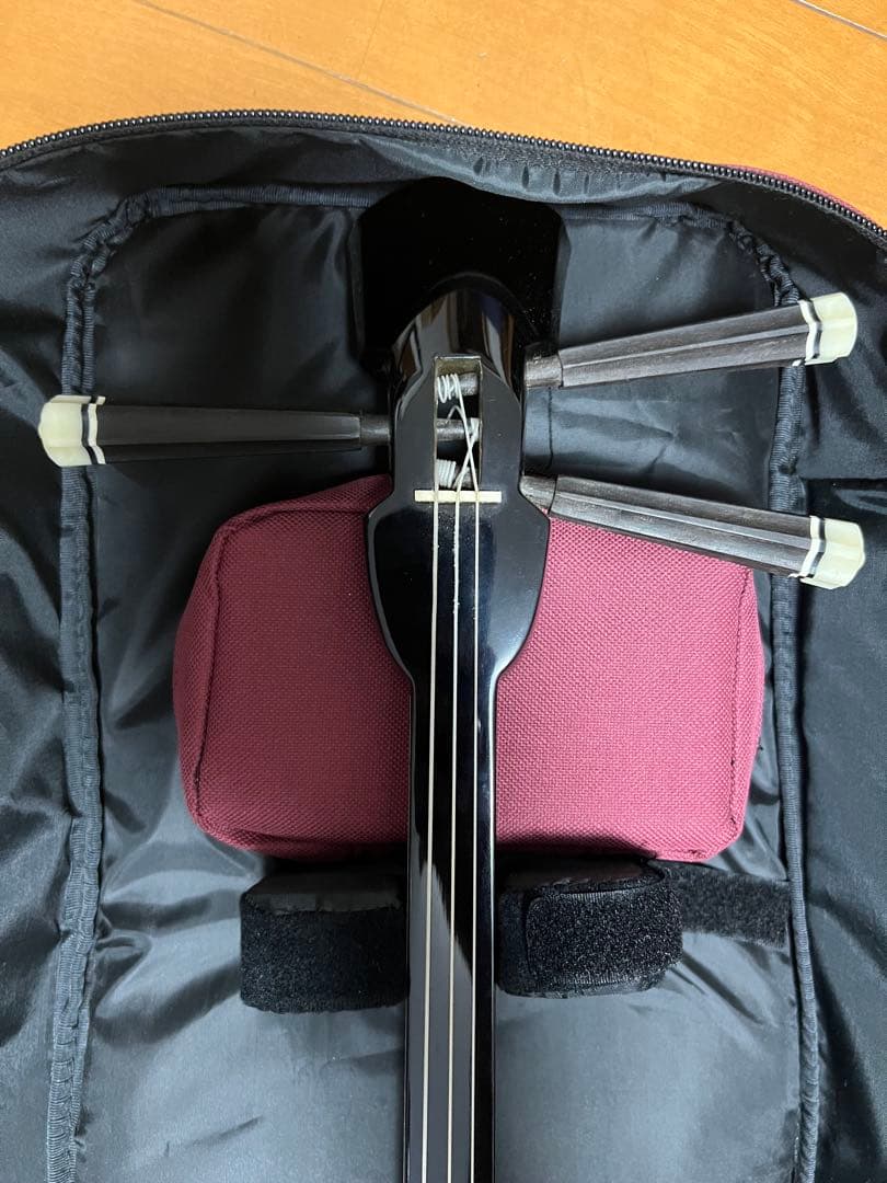 三線本体 蛇皮 金糸刺繍