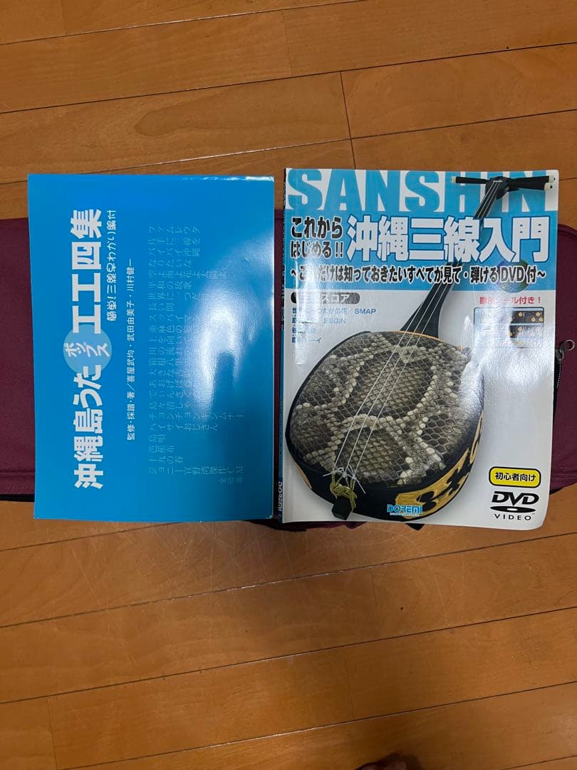 三線本体 蛇皮 金糸刺繍