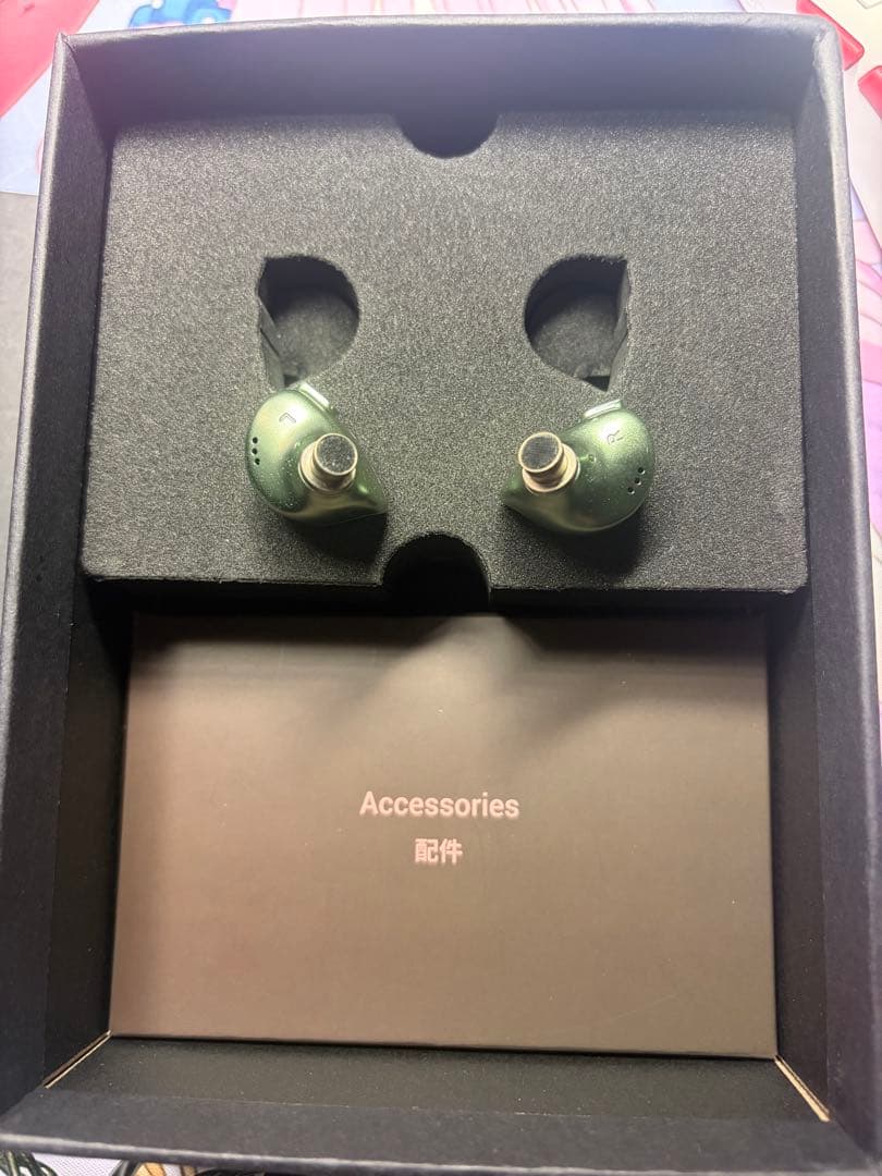 【 試聴のみ エージング済み】BQEYZ Winter2 グリーン