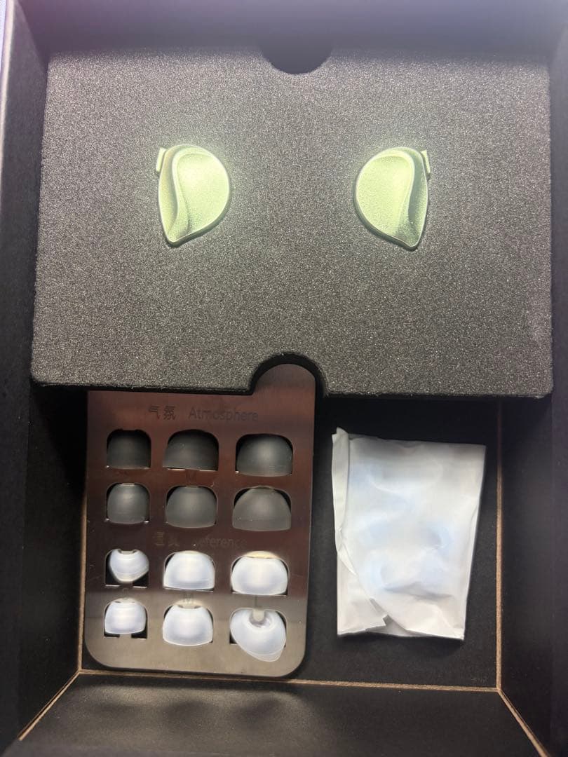 【 試聴のみ エージング済み】BQEYZ Winter2 グリーン