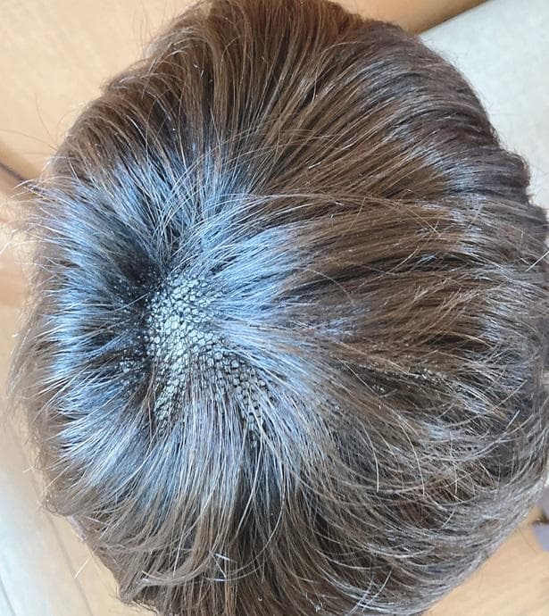 チコ　フォンテーヌ　アール・クルーRB02　ショート　ブラウン