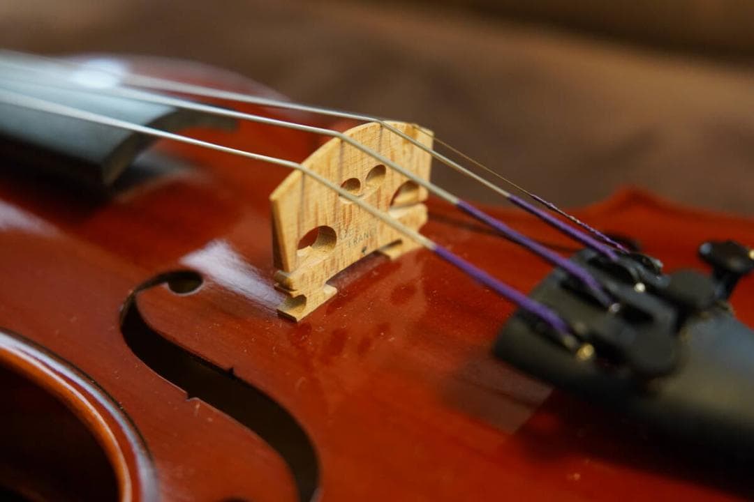 【超美品】バイオリン　ピグマリウス　デリウス　スタンダード　1/4 　新品弓