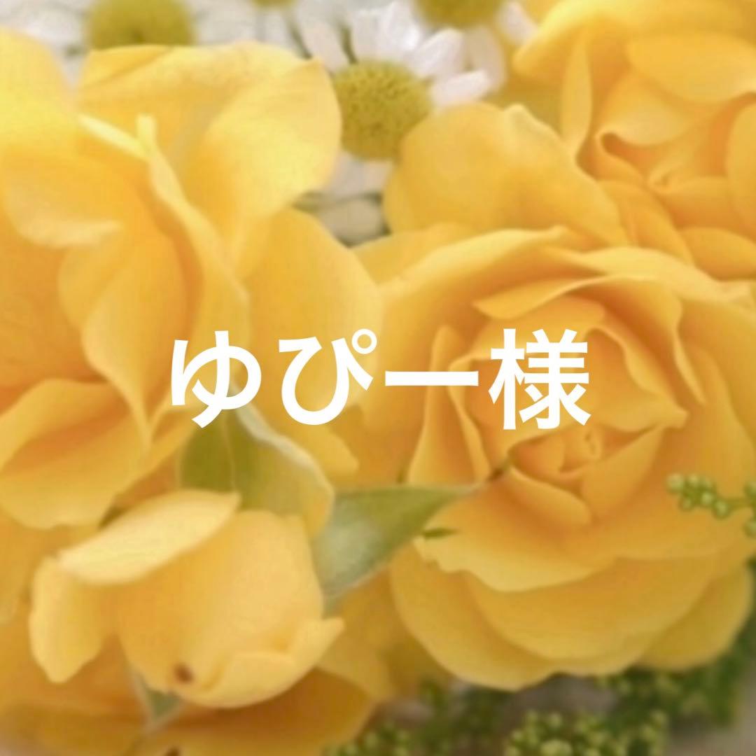 ダッフィー 、シェリーメイ 用コスチューム