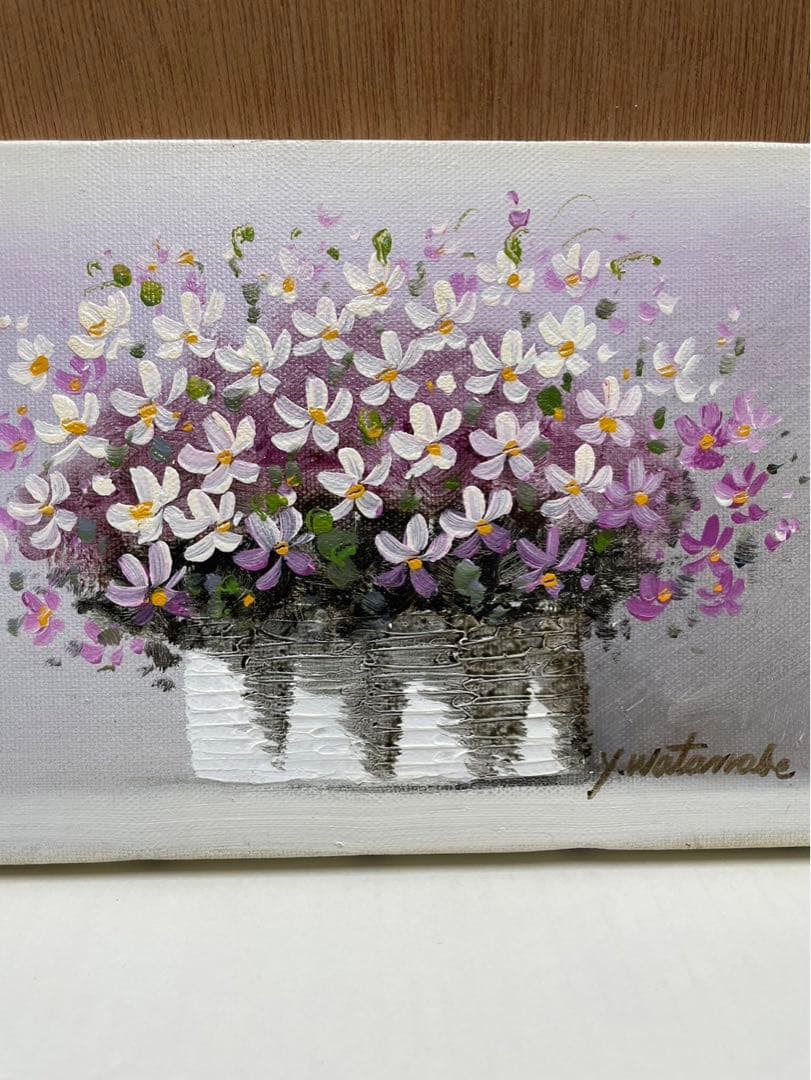 ノースポール✼