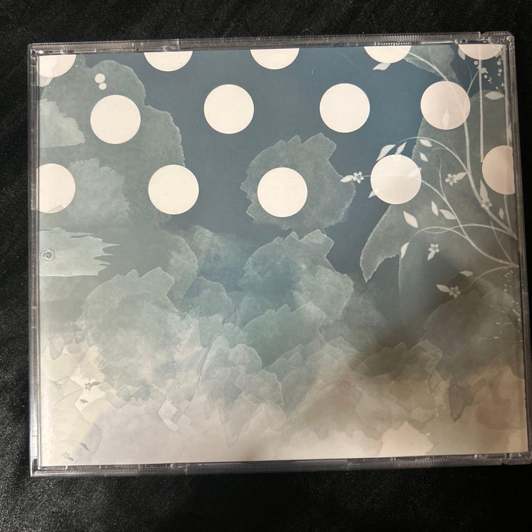 ポルカドットティングレイ　CD サイン付き