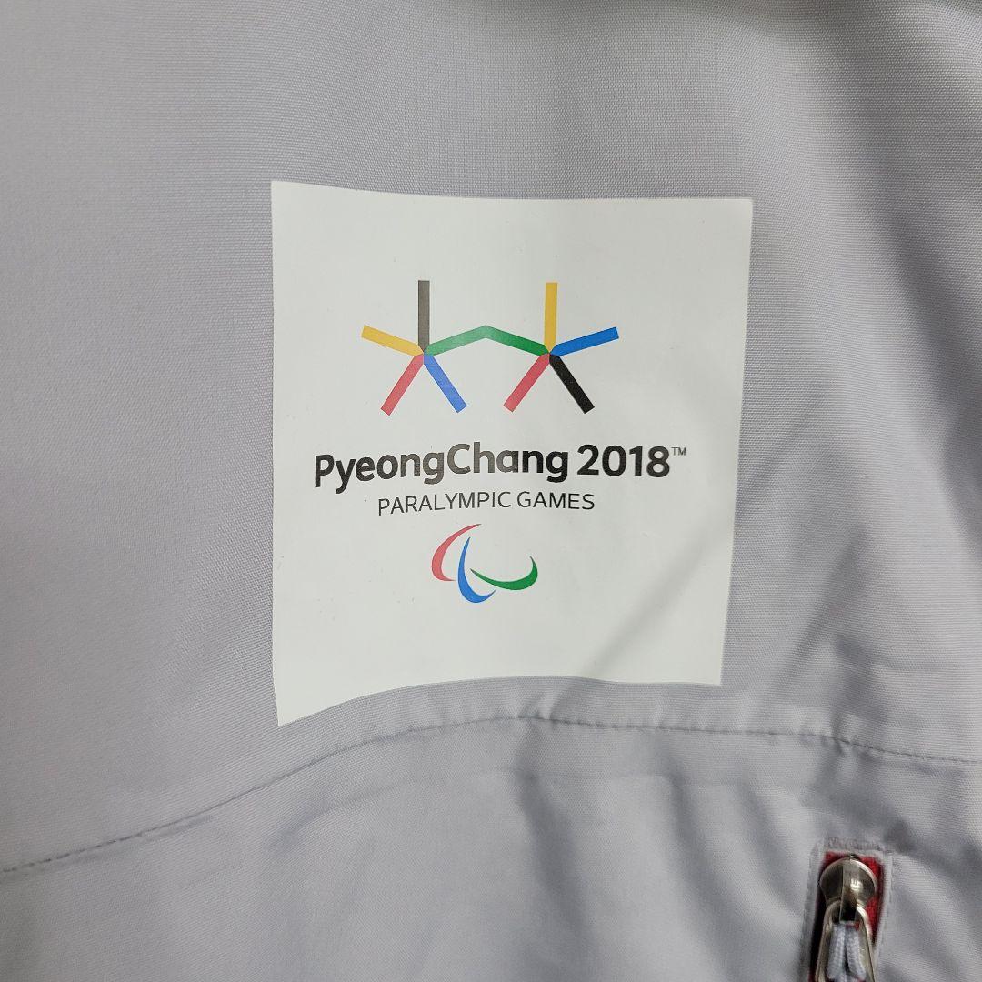 《希少》ザノースフェイス☆平昌オリンピックモデル　スキーウェア　XL　グレー　赤