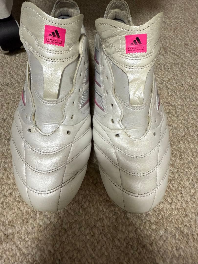 シューズ stalefish