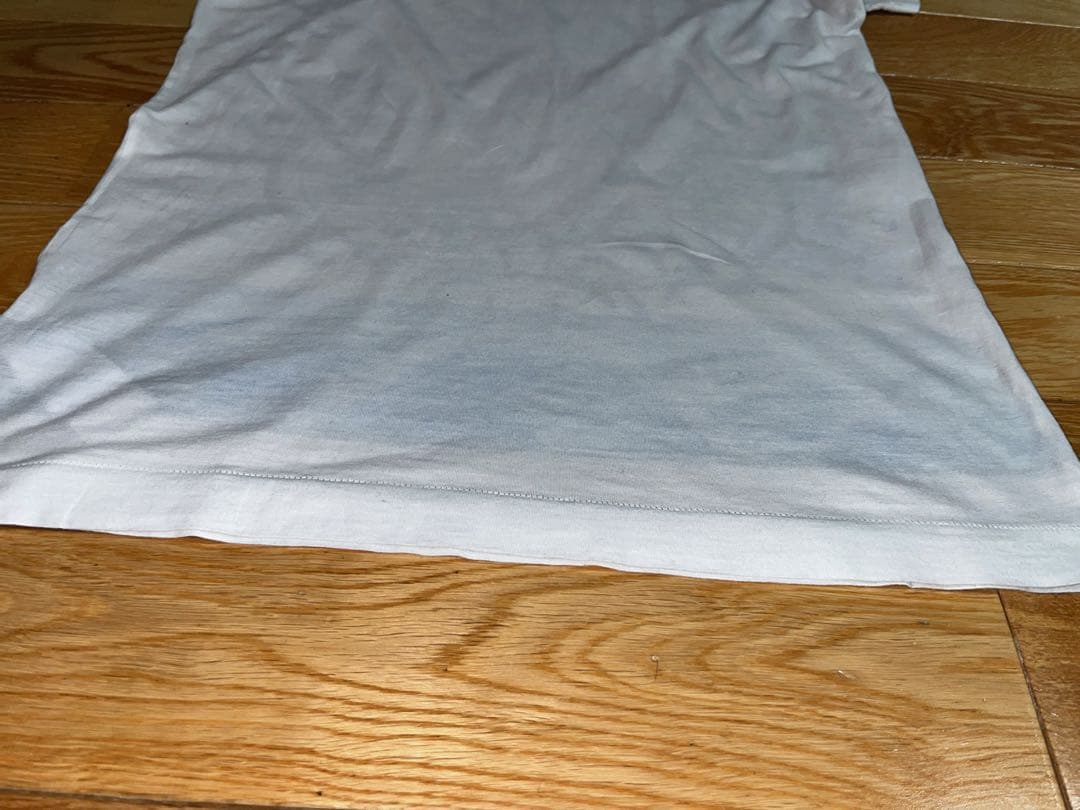 ■Dolce&Gabbana Tシャツ マヨルカ レモン ドルガバ