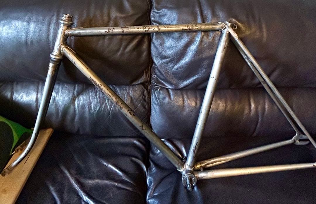 希少‼️  SHARK アイランドシャーク　ヴィンテージフレーム