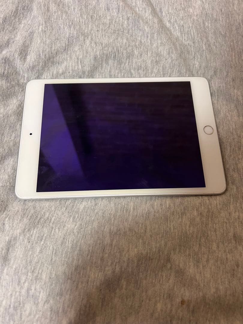 iPad mini 第5世代 256GB シルバー Wi-Fiモデル