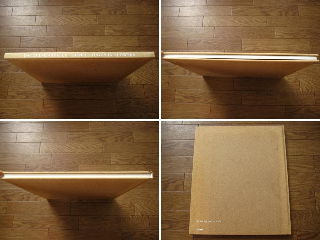 アート・デザイン・音楽 David Lachapelle Earth Laughs in Flowers