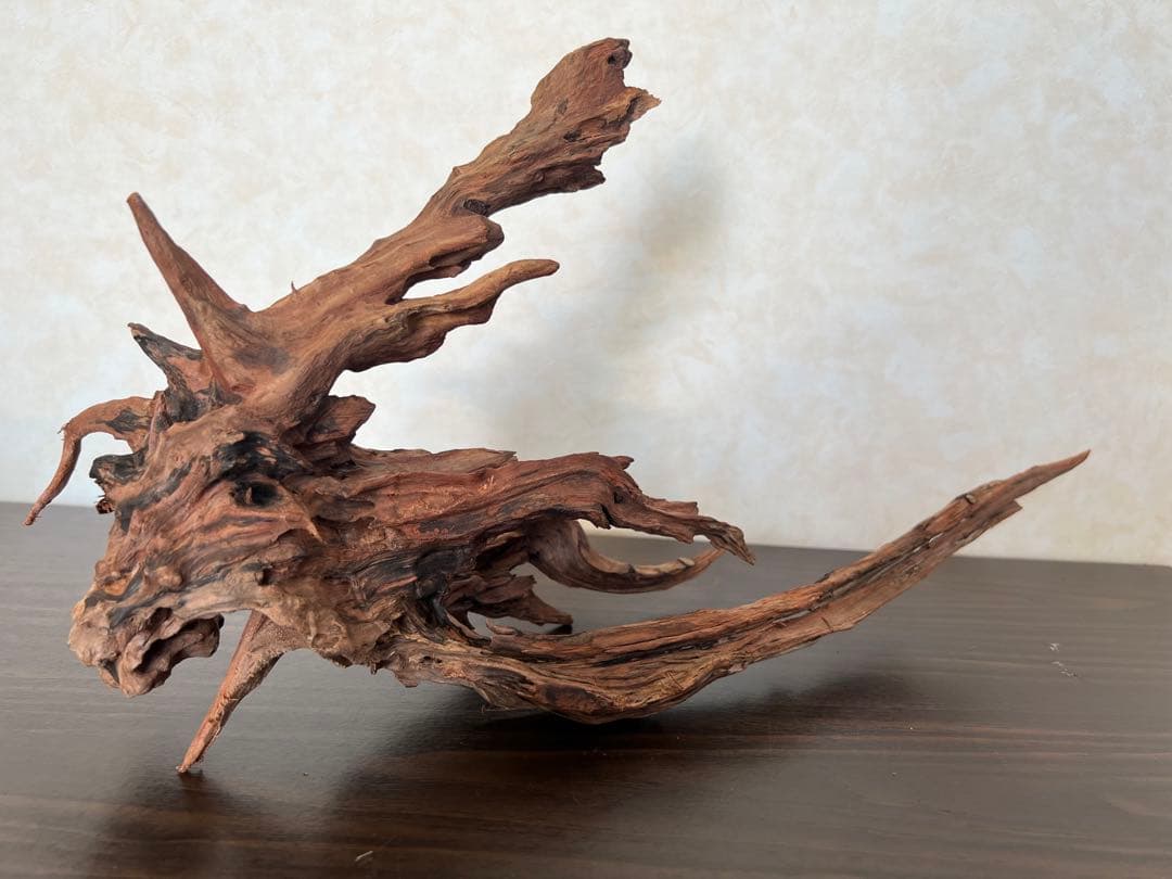 HX-013 流木　ホーンウッド　マシンガンウッド　アクアリウム　ブランチウッド