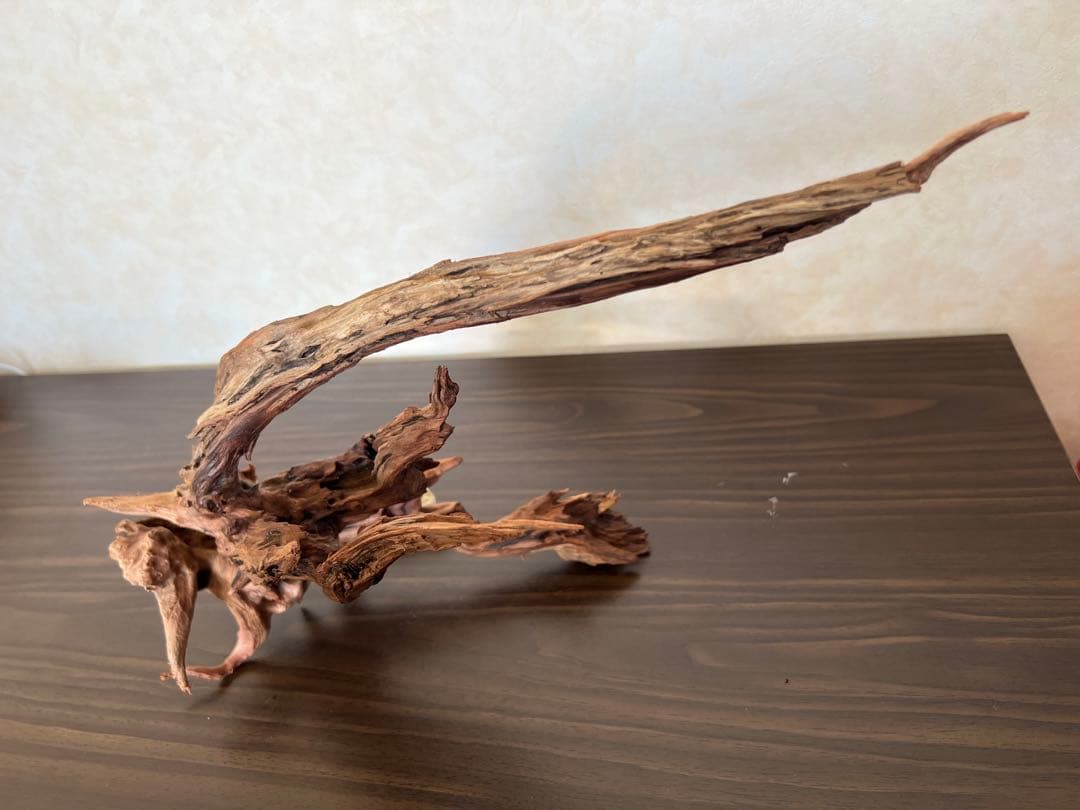 HX-013 流木　ホーンウッド　マシンガンウッド　アクアリウム　ブランチウッド