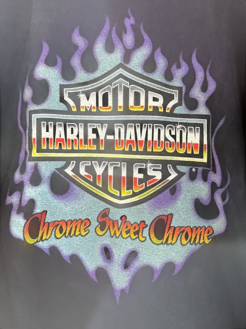 ハーレーダビットソン Harley-Davidson フレイム ロンT XL