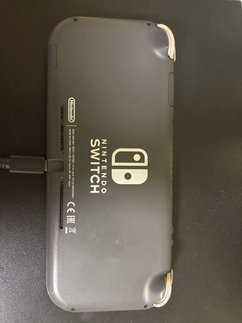 Nintendo Switch Light ジャンク