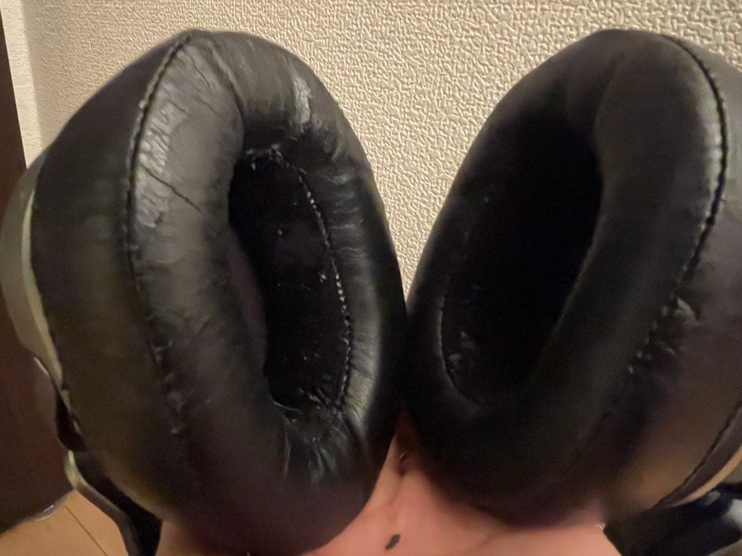 SONY ソニー MDR-HW700DS