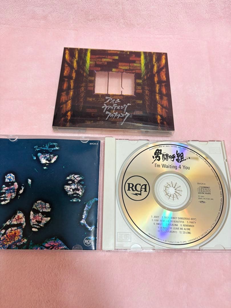 男闘呼組　成田昭次　岡本健一　CDまとめ売り