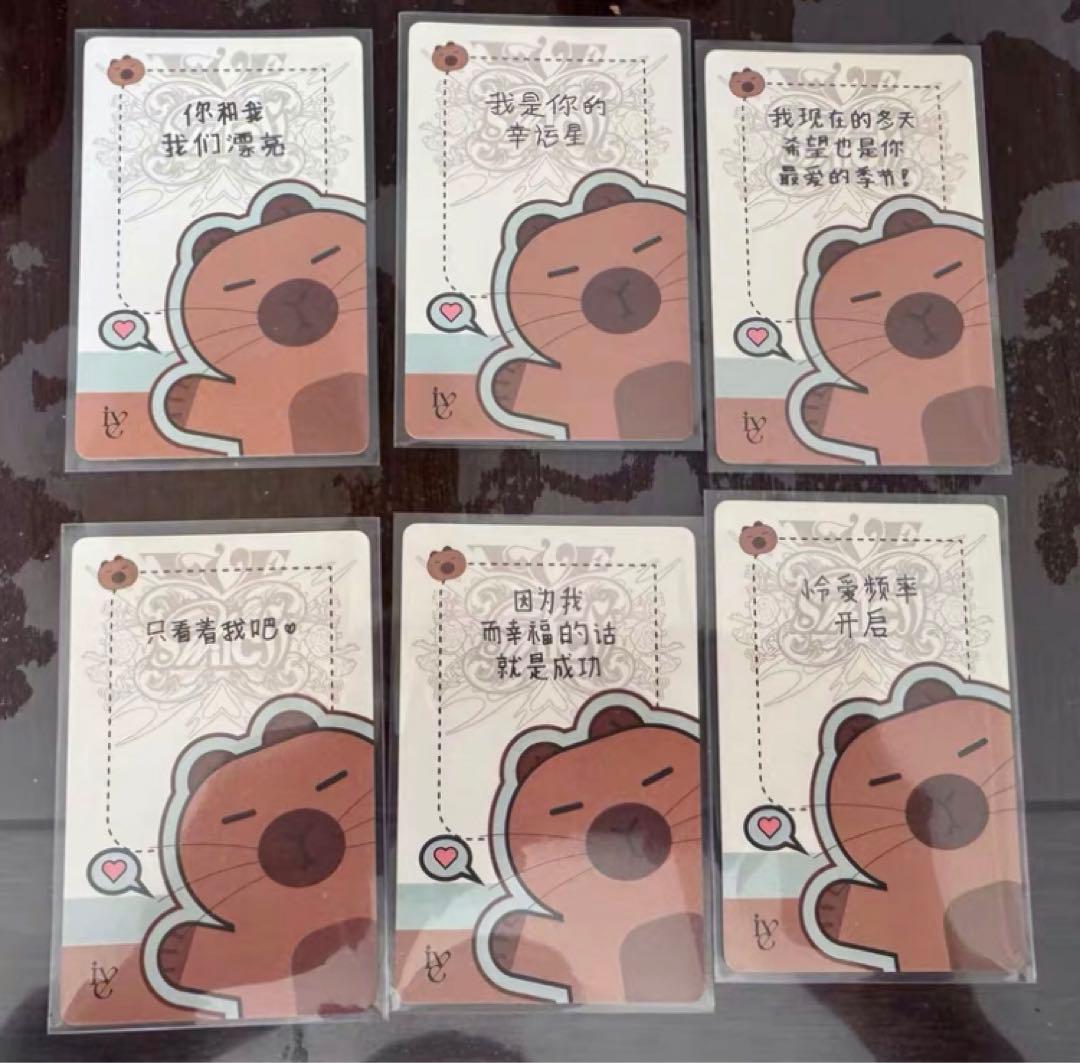 IVE 中国 中華 一直娱 yizhiyu yzy3.0 特典 トレカ 6枚