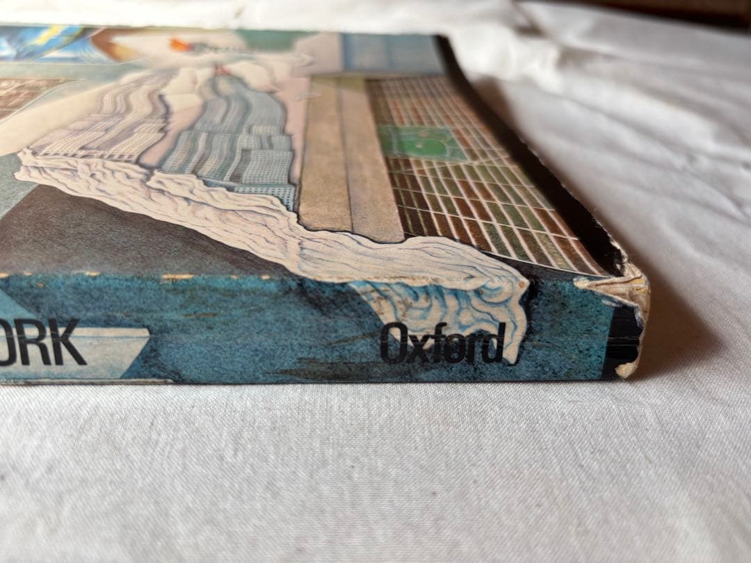 h*a様 【希少】DELIRIOUS NEW YORK　錯乱のニューヨーク　英語