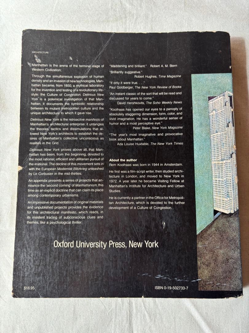 h*a様 【希少】DELIRIOUS NEW YORK　錯乱のニューヨーク　英語